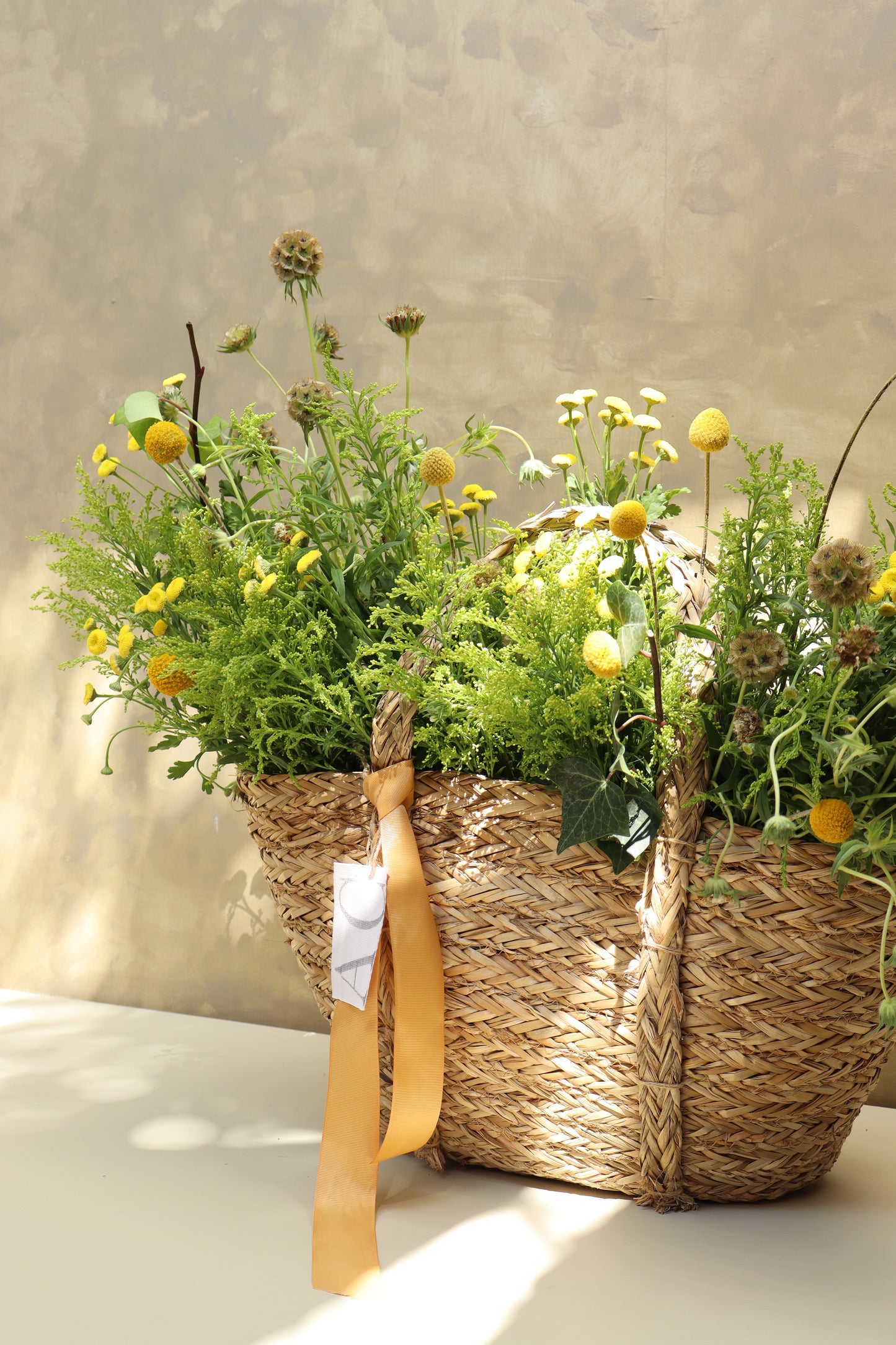 BOLSA ARLES