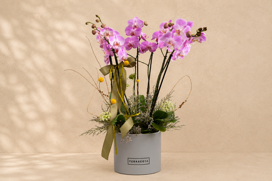 Orquídeas triple en base