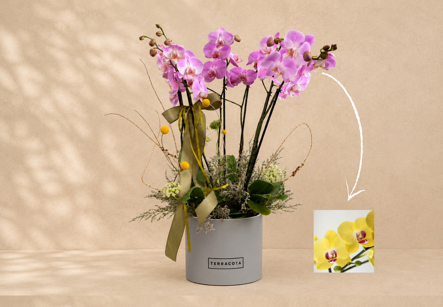 Orquídeas triple en base