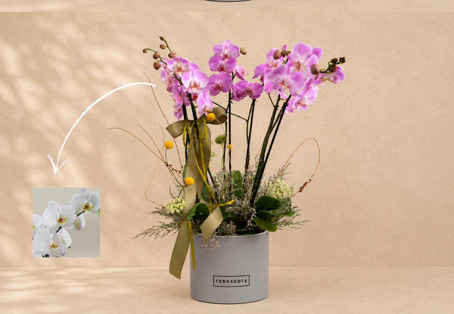 Orquídeas triple en base