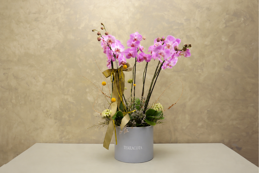Orquídeas triple en base