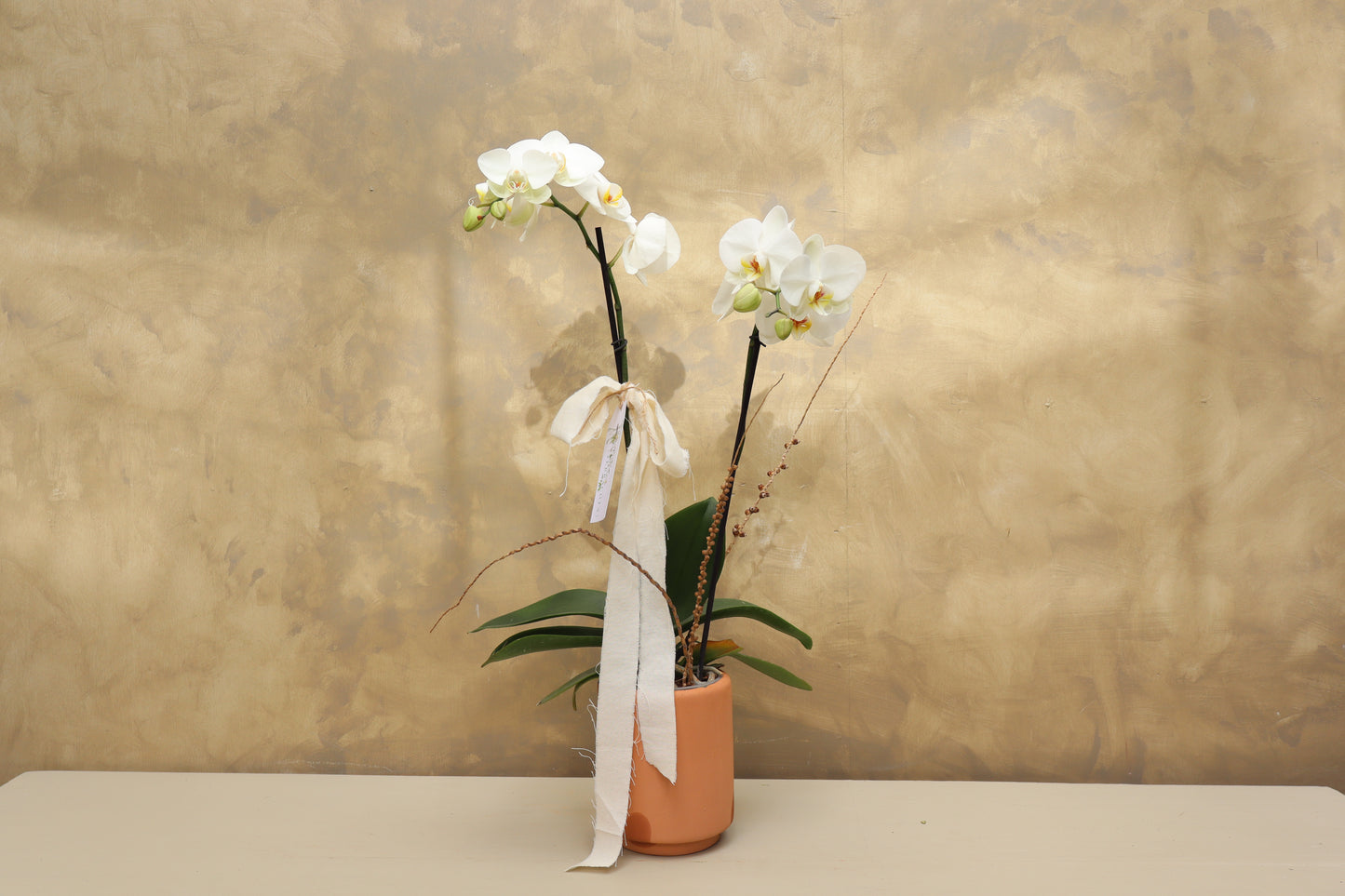 ORQUÍDEA