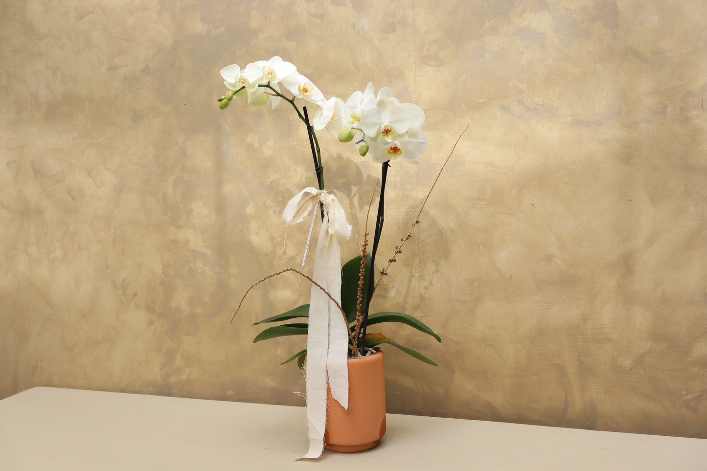 ORQUÍDEA