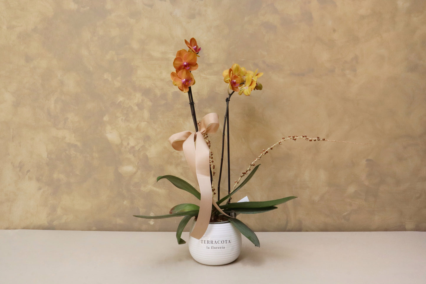 Orquídea