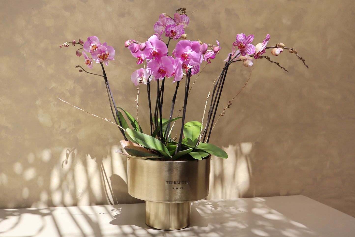 Arreglo de orquideas en cilindro grande