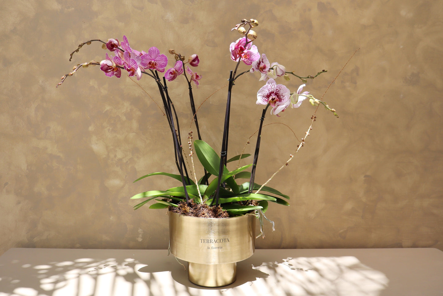 Arreglo de orquideas en cilindro mediano