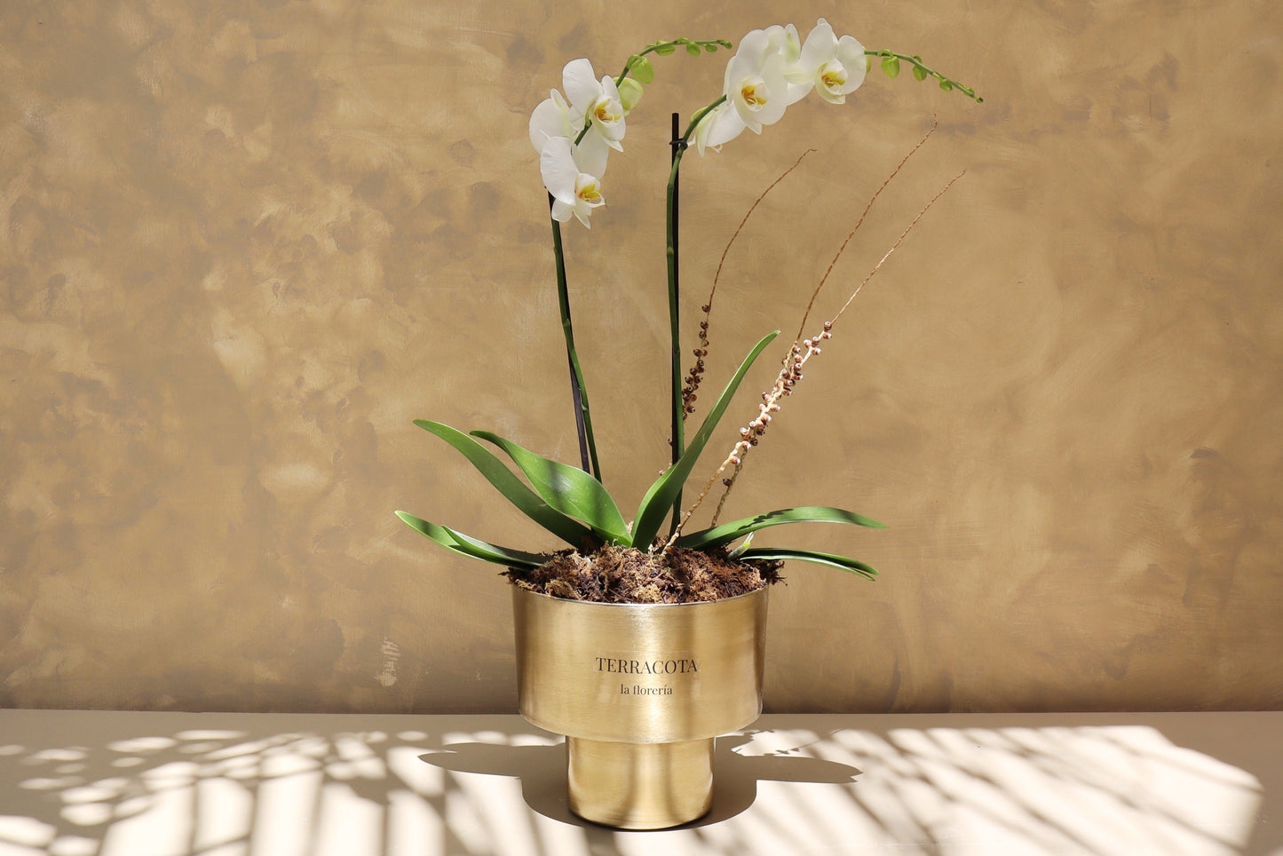 Arreglo de orquideas en cilindro chico