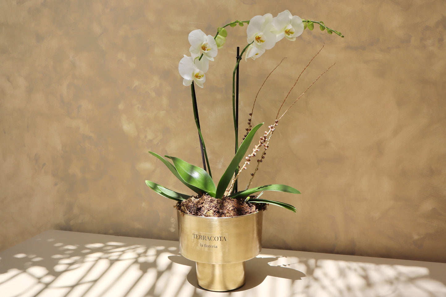 Arreglo de orquideas en cilindro chico