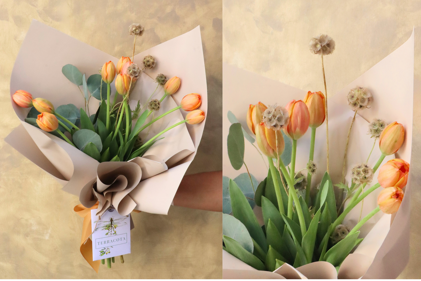 Ramo de 10 tulipanes