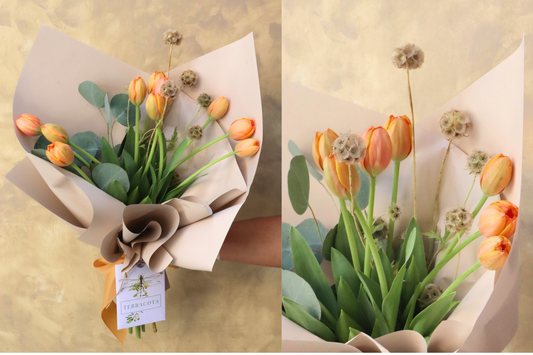 Ramo de 10 tulipanes