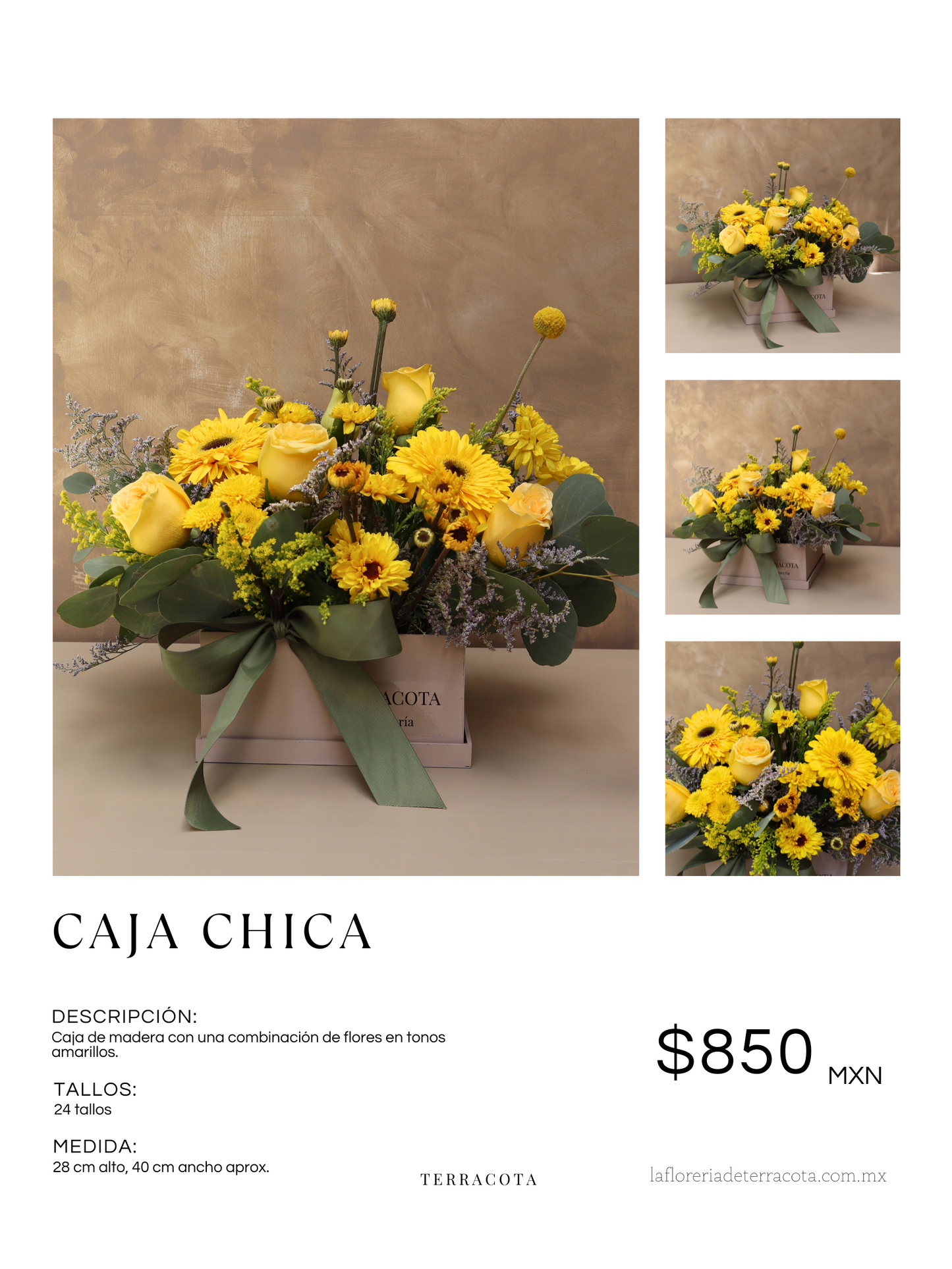 CAJA CHICA AMARILLA